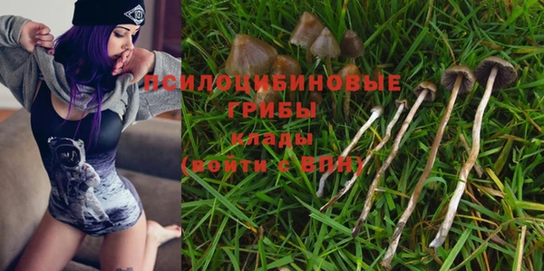 гашиш Гусь-Хрустальный