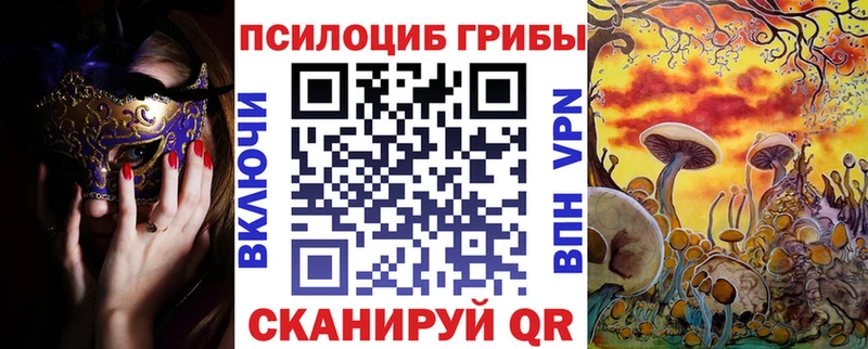 Купить где  Курчалой  Галлюциногенные грибы Cubensis 